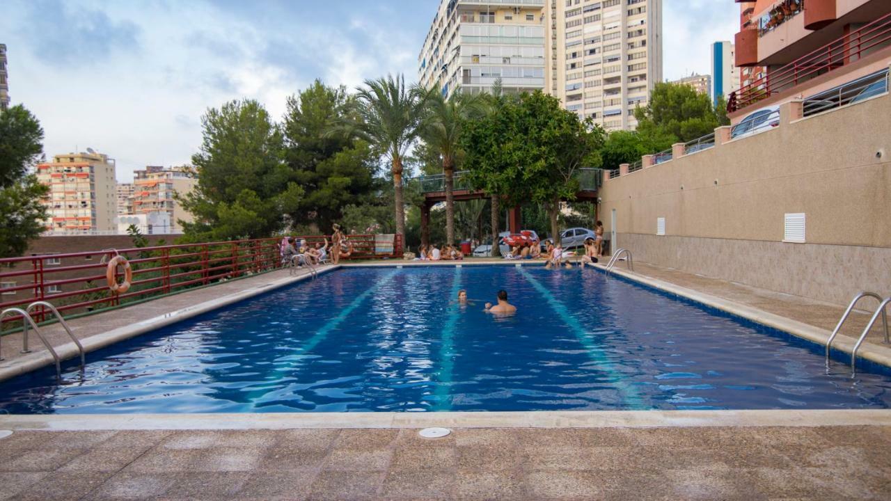 Panoramicos Don Miguel Ii Benidorm